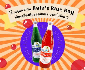 5 เหตุผล ที่น้ำหวาน Hale’s Blue Boy กลายเป็นเครื่องดื่มยอดฮิตประจำหน้าร้อน!