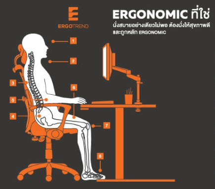 ท่านั่งตามหลักการยศาสตร์ (Ergonomic)