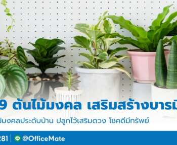 ต้นไม้มงคล_OfficeMate