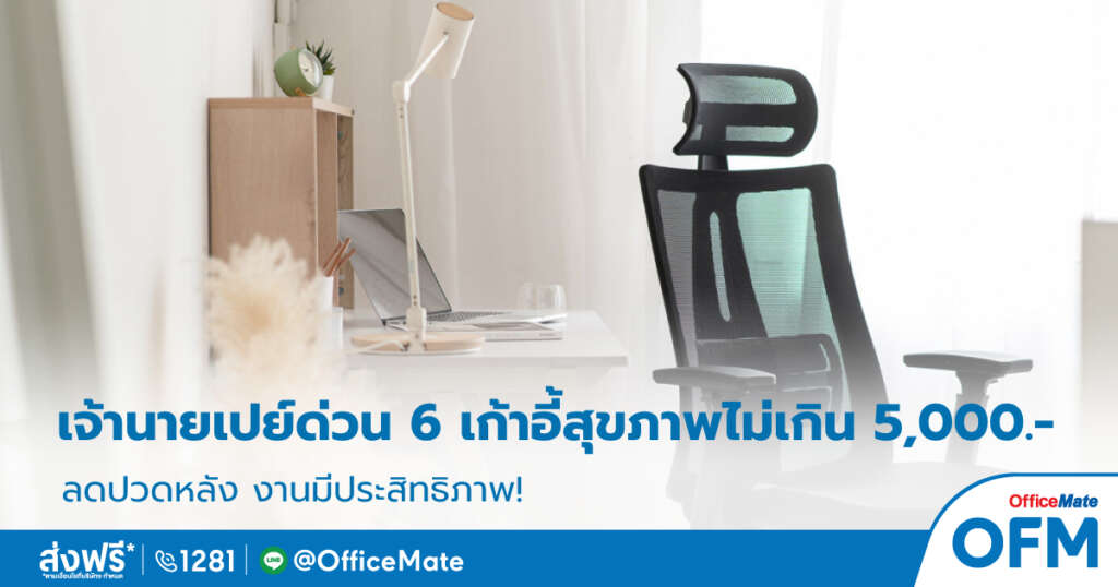 เก้าอี้เพื่อสุขภาพ_1_OfficeMate