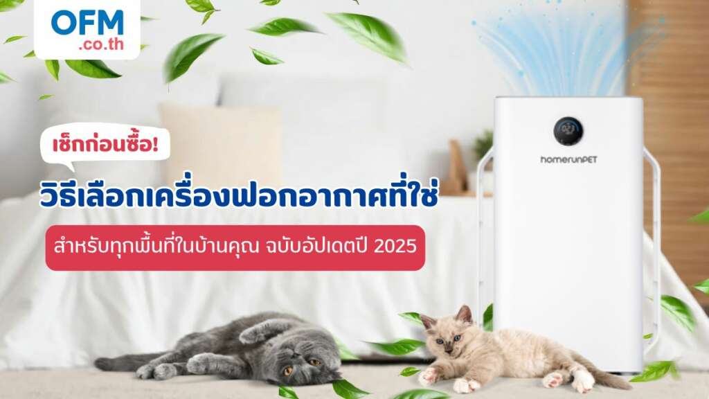วิธีเลือกซื้อเครื่องฟอกอากาศ 2025