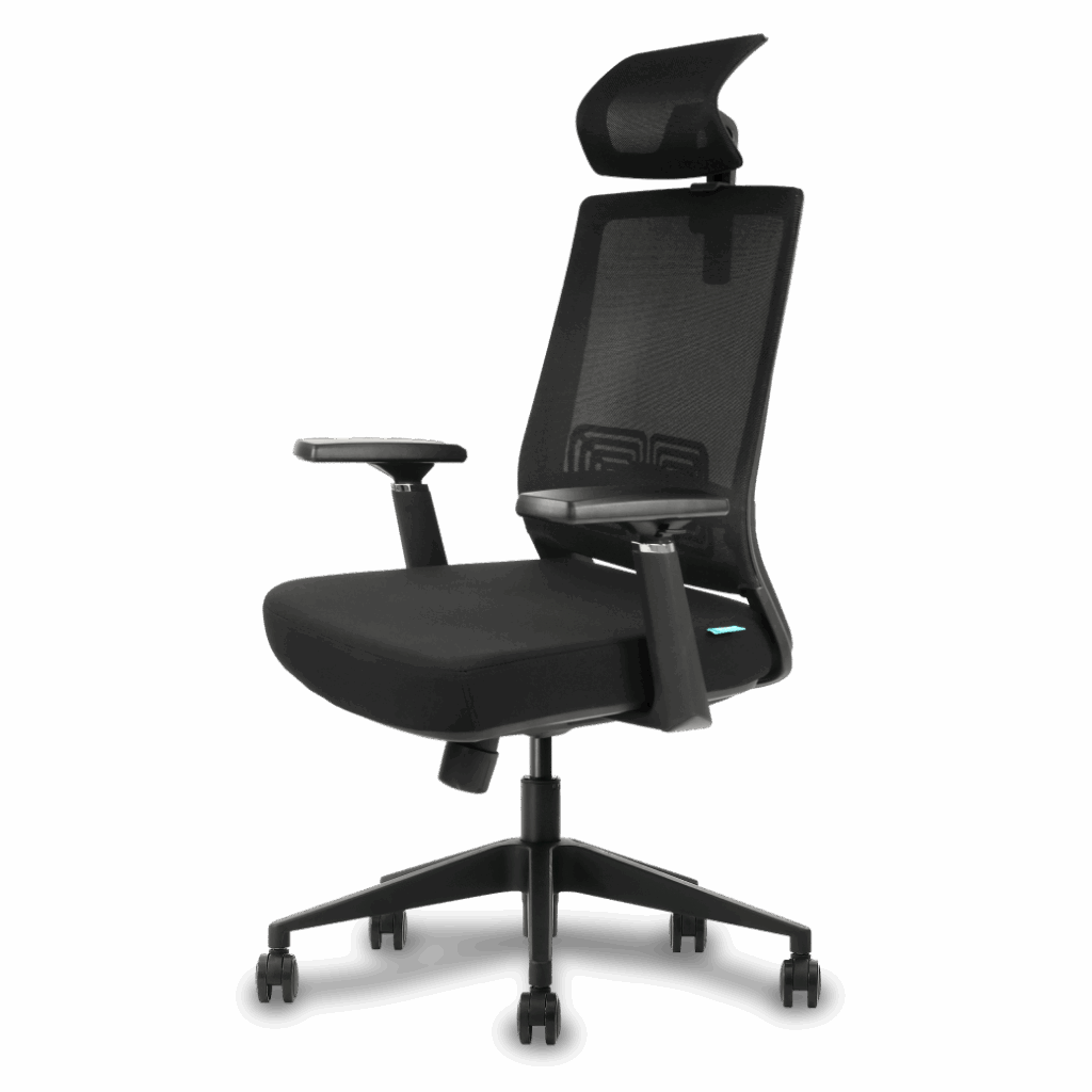 ergonomic เก้าอี้เพื่อสุขภาพ bewell