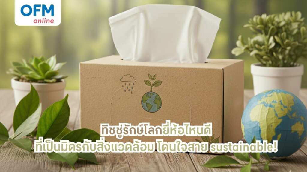 ทิชชู่รักษ์โลก ยี่ห้อไหนดีที่เป็นมิตรกับสิ่งแวดล้อม