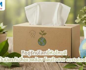 ทิชชู่รักษ์โลก ยี่ห้อไหนดีที่เป็นมิตรกับสิ่งแวดล้อม