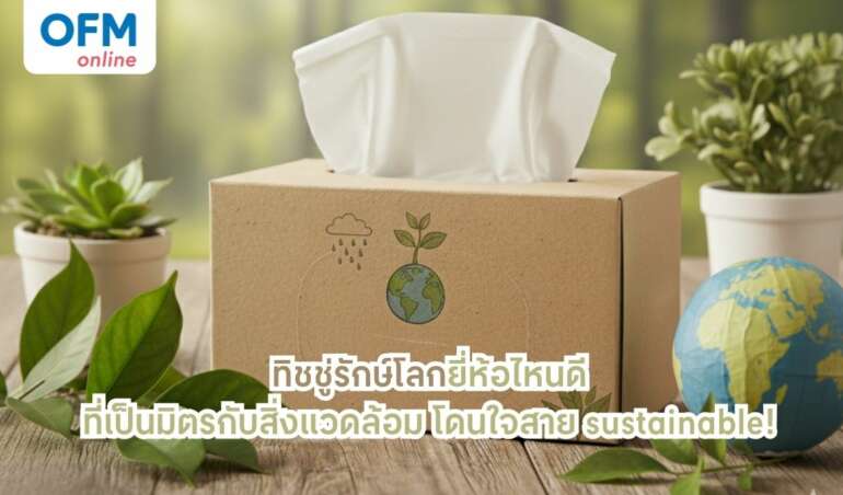 ทิชชู่รักษ์โลก ยี่ห้อไหนดีที่เป็นมิตรกับสิ่งแวดล้อม