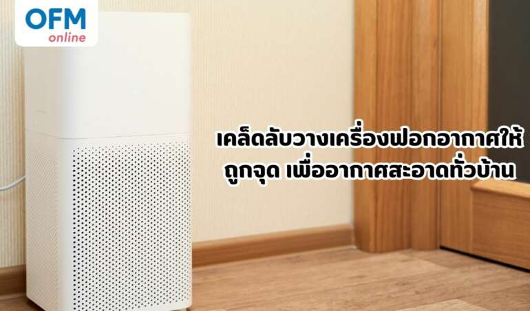 เคล็ดลับวางเครื่องฟอกอากาศให้ถูกจุด เพื่ออากาศสะอาดทั่วบ้าน
