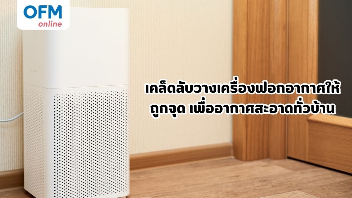 เคล็ดลับวางเครื่องฟอกอากาศให้ถูกจุด เพื่ออากาศสะอาดทั่วบ้าน