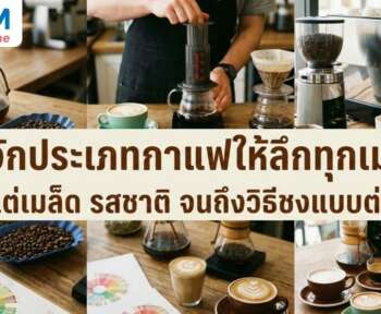 ประเภทกาแฟ