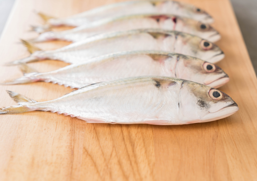 แมวกินอะไรได้บ้าง ปลาเนื้อขาว