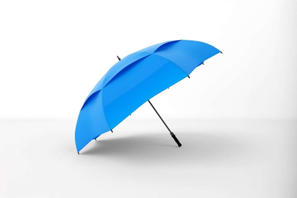 ของแจกปีใหม่  ร่ม