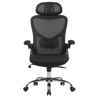 FURRADEC เก้าอี้เพื่อสุขภาพ รุ่น Ryan สีดำ