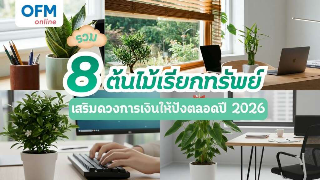 ต้นไม้เรียกทรัพย์ 2026