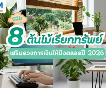 ต้นไม้เรียกทรัพย์ 2026