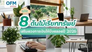 ต้นไม้เรียกทรัพย์ 2026