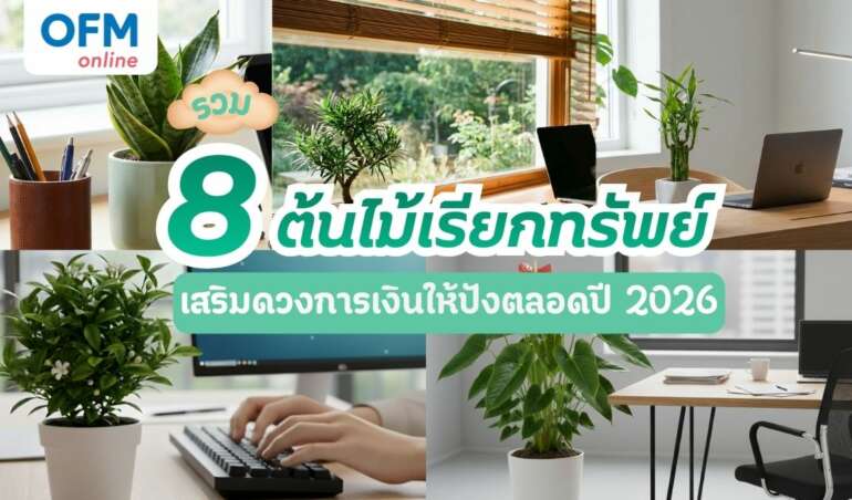 ต้นไม้เรียกทรัพย์ 2026