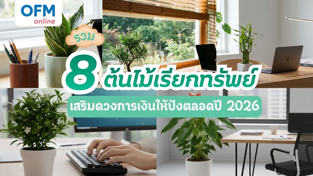 ต้นไม้เรียกทรัพย์ 2026