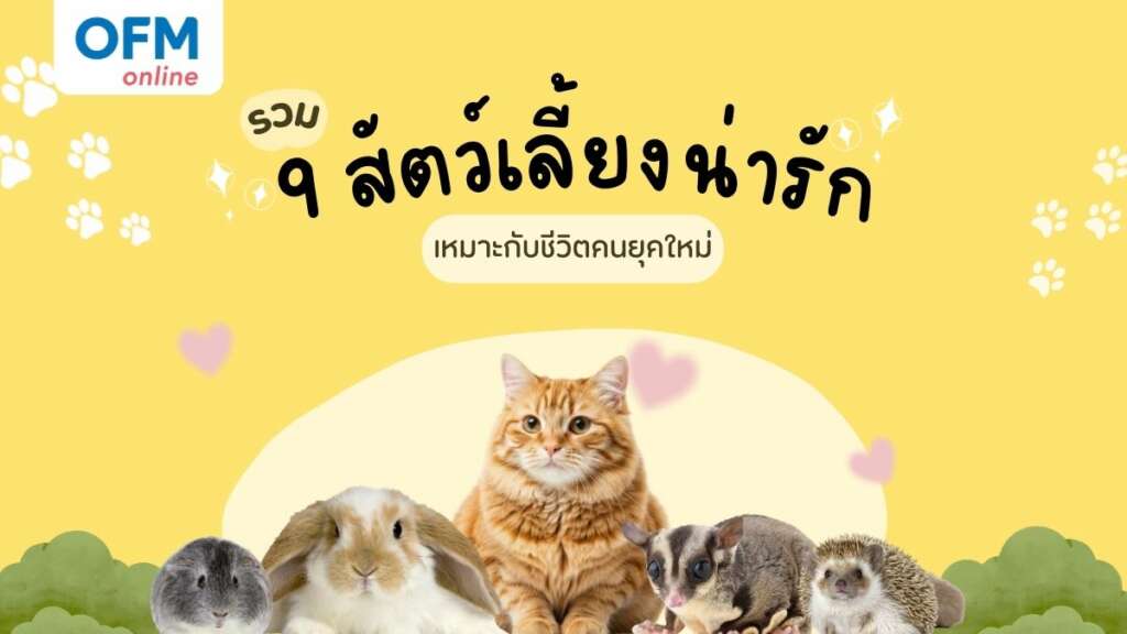 สัตว์เลี้ยงอะไรดี