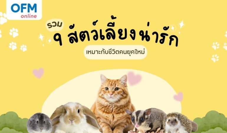 สัตว์เลี้ยงอะไรดี