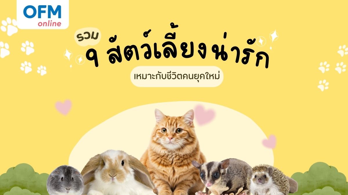 สัตว์เลี้ยงอะไรดี