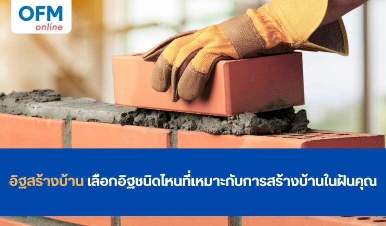 อิฐสร้างบ้าน ชนิดไหนดี
