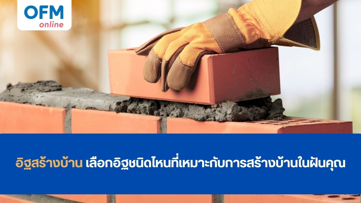 อิฐสร้างบ้าน ชนิดไหนดี
