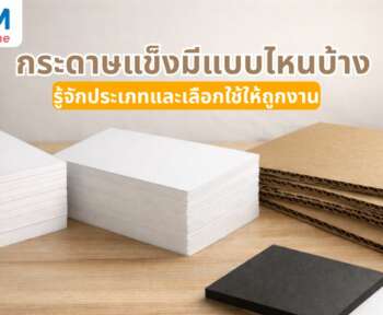 กระดาษแข็งมีแบบไหนบ้าง