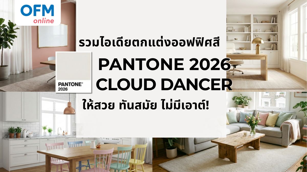 pantone 2026 cloud dancer จัดออฟฟิศ