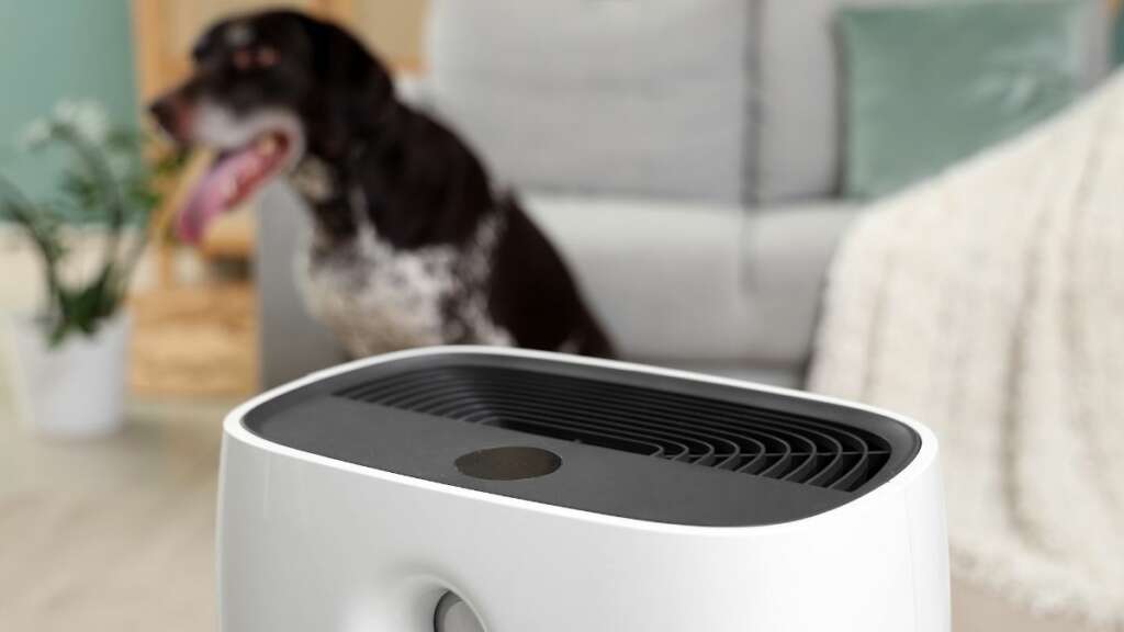 วิธีเลือกเครื่องฟอกอากาศสำหรับสัตว์เลี้ยง