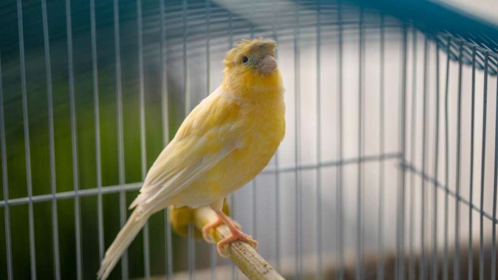 ธุรกิจสัตว์เลี้ยง exotic pet