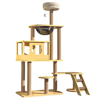 ธุรกิจสัตว์เลี้ยง คอนโดแมว