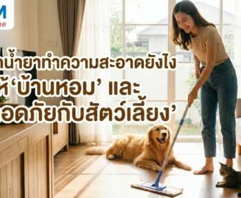 น้ำยาถูพื้นสัตว์เลี้ยง