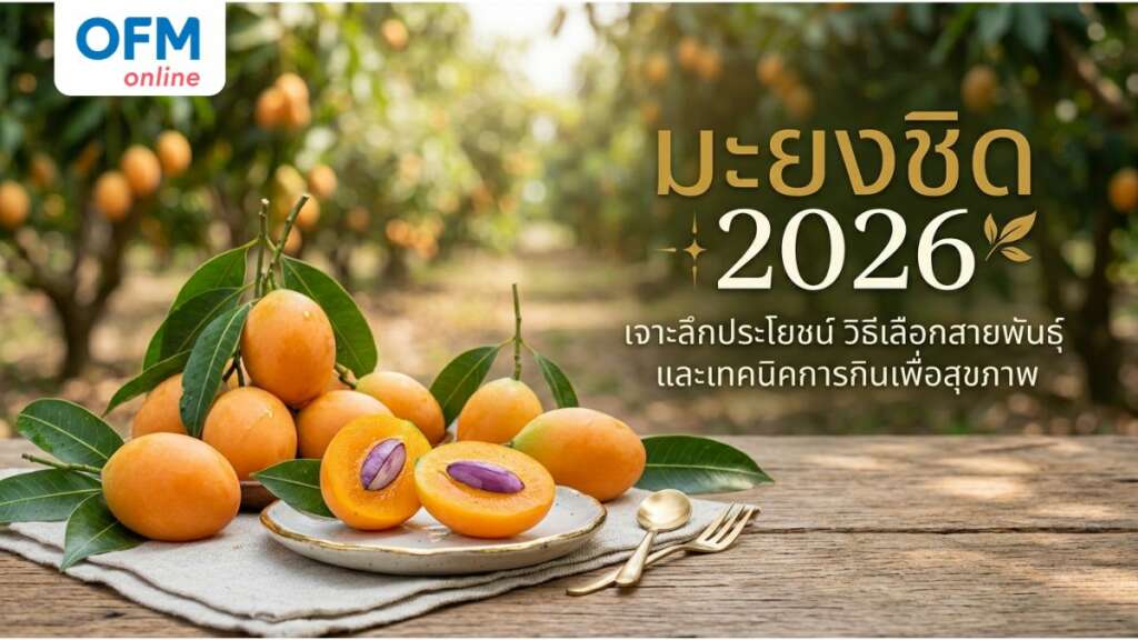 มะยงชิด ประโยชน์