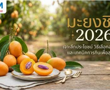 มะยงชิด ประโยชน์