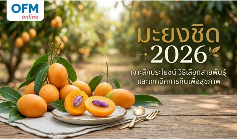 มะยงชิด ประโยชน์