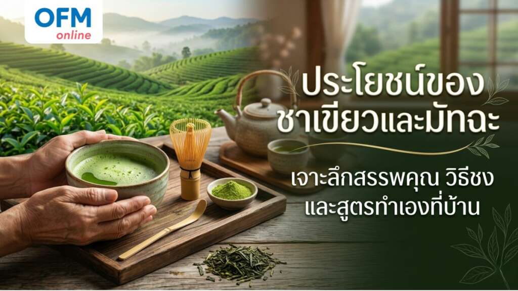 ชาเขียว ประโยชน์ และโทษ