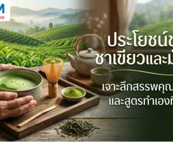 ชาเขียว ประโยชน์ และโทษ