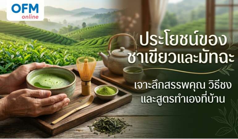 ชาเขียว ประโยชน์ และโทษ