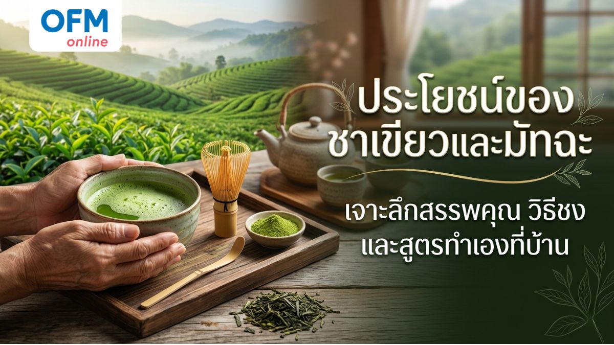 ชาเขียว ประโยชน์ และโทษ