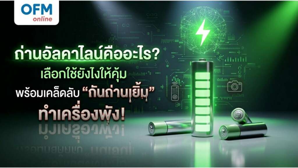 ถ่าน อั ล คา ไลน์ คืออะไร