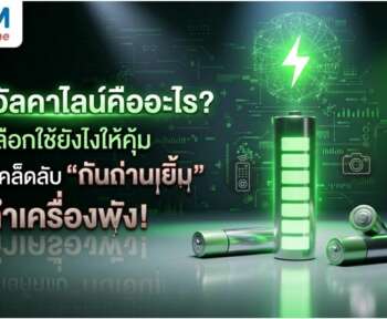 ถ่าน อั ล คา ไลน์ คืออะไร