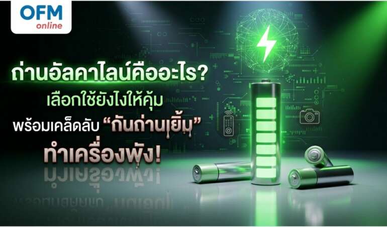 ถ่าน อั ล คา ไลน์ คืออะไร