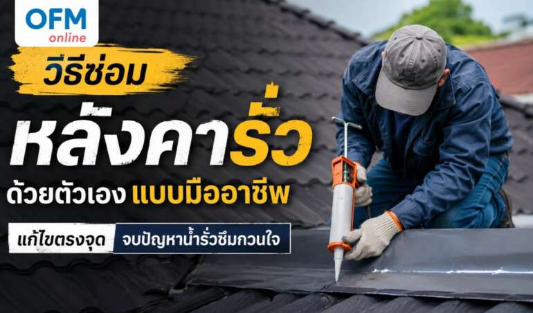 ซ่อมหลังคารั่ว