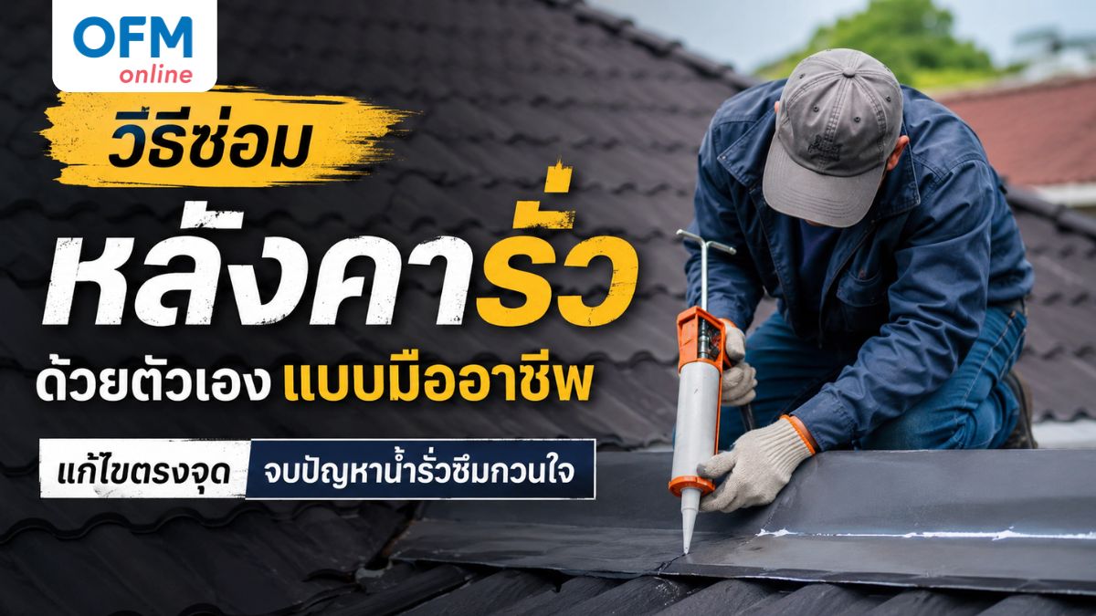 ซ่อมหลังคารั่ว