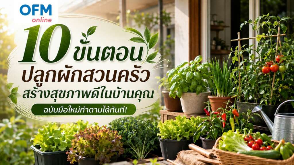 ปลูกผักสวนครัว