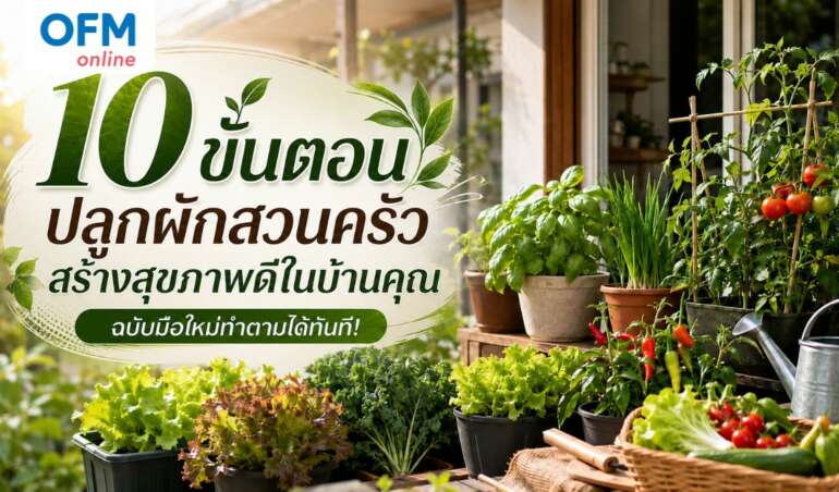 ปลูกผักสวนครัว