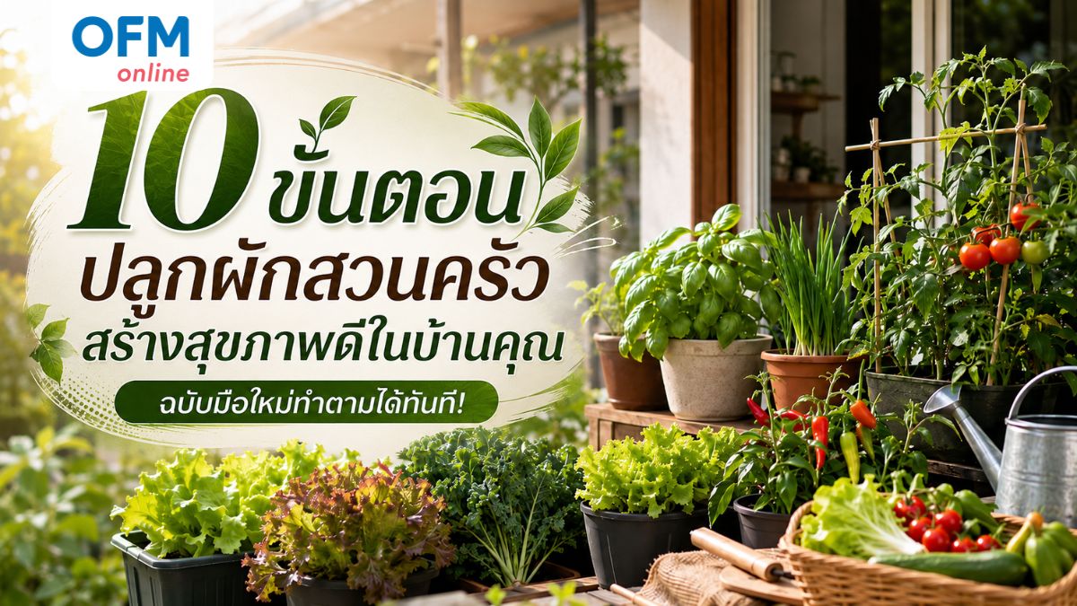 ปลูกผักสวนครัว