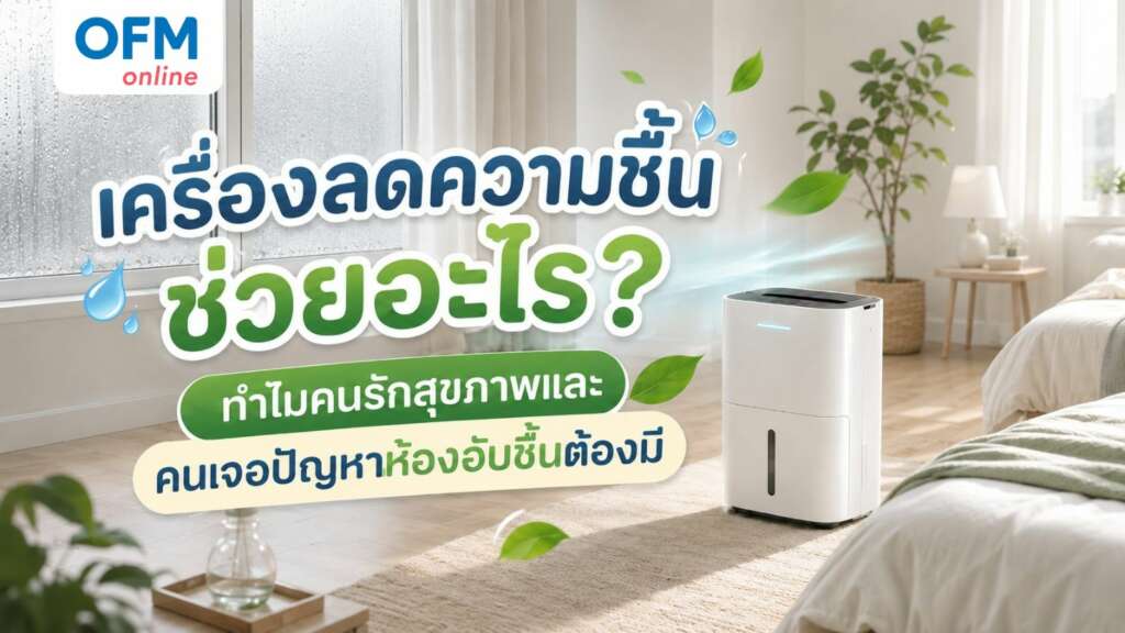 เครื่องลดความชื้น ช่วยอะไร