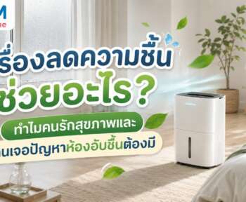 เครื่องลดความชื้น ช่วยอะไร