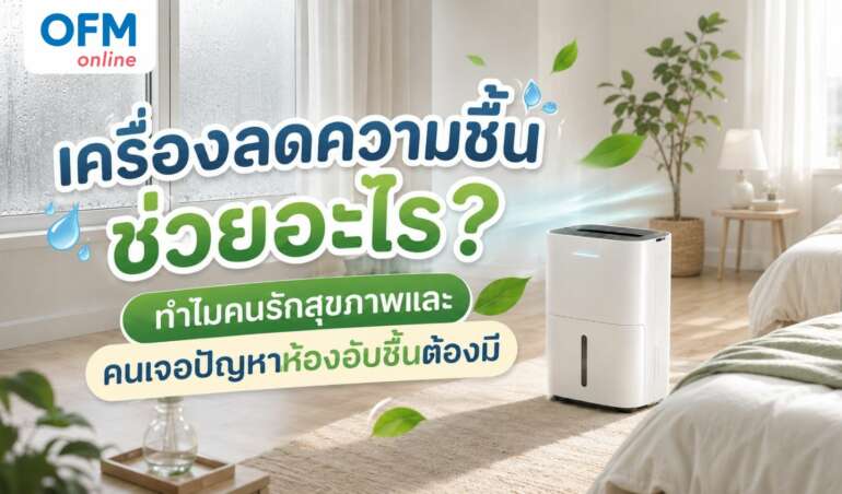 เครื่องลดความชื้น ช่วยอะไร