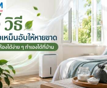 ห้องเหม็นอับ